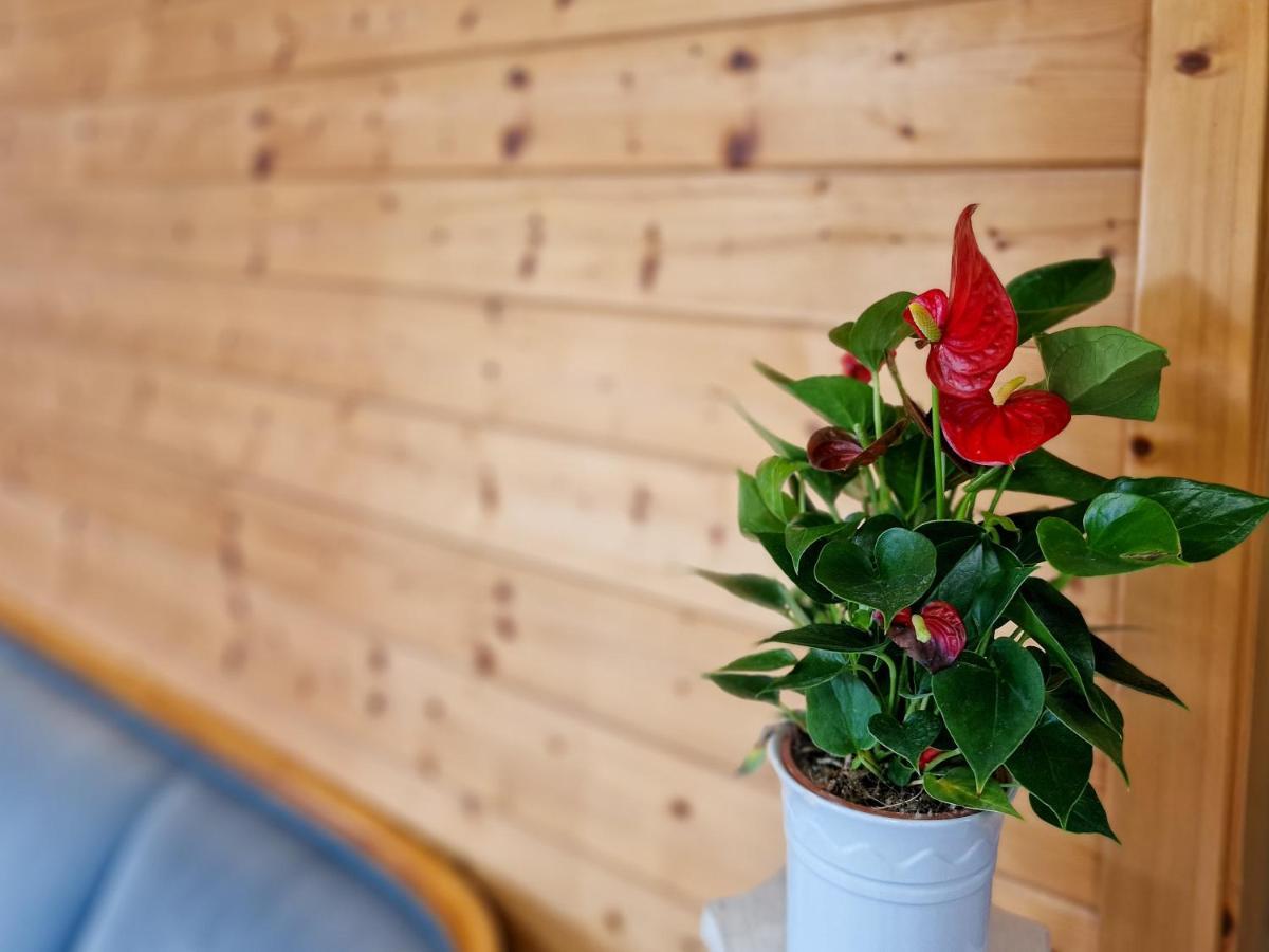 Ferien Vom Ich, Bayerischer Wald, Hotel & Restaurant Neukirchen  Екстериор снимка