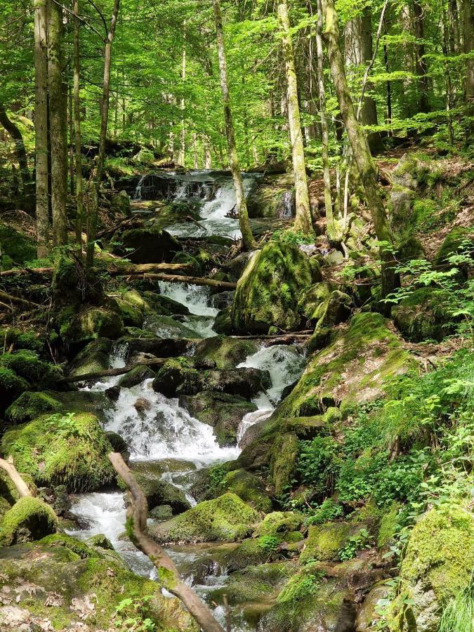 Ferien Vom Ich, Bayerischer Wald, Hotel & Restaurant Neukirchen  Екстериор снимка