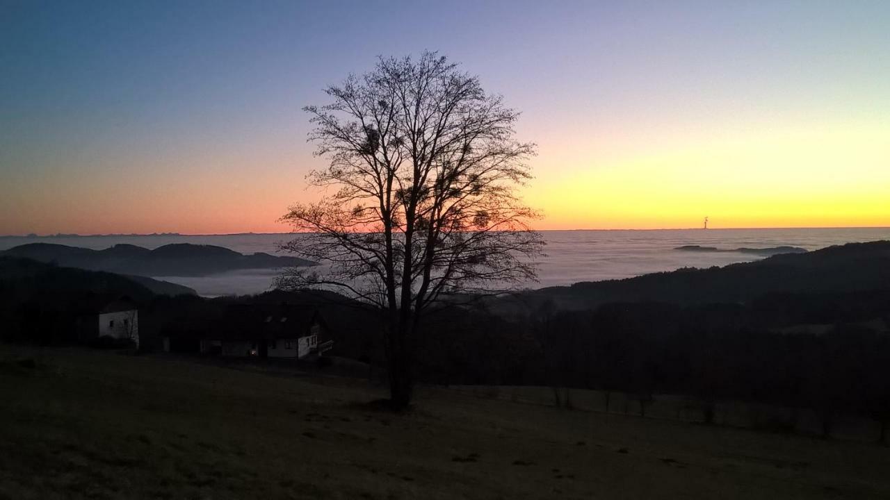 Ferien Vom Ich, Bayerischer Wald, Hotel & Restaurant Neukirchen  Екстериор снимка