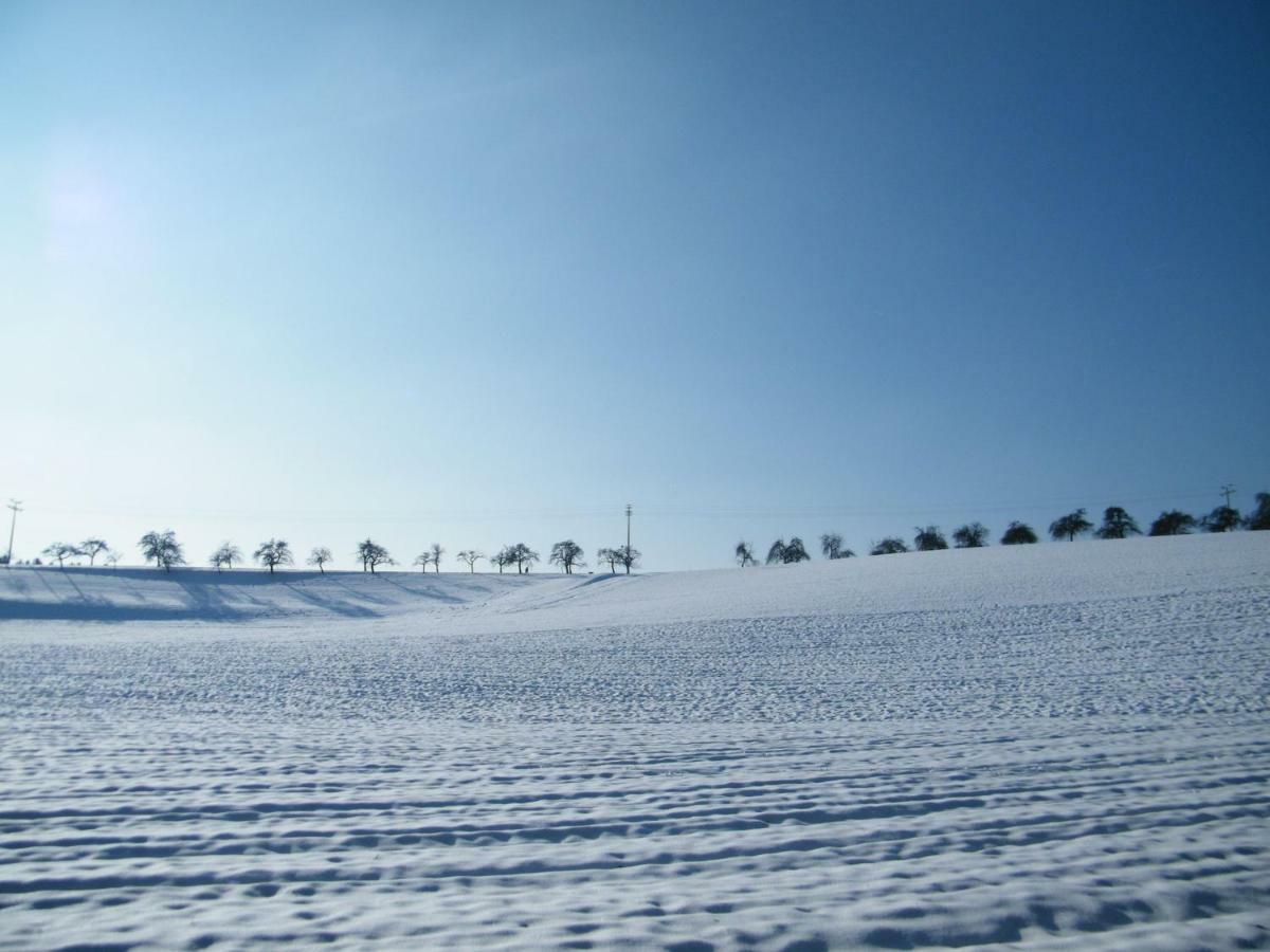 Ferien Vom Ich, Bayerischer Wald, Hotel & Restaurant Neukirchen  Екстериор снимка