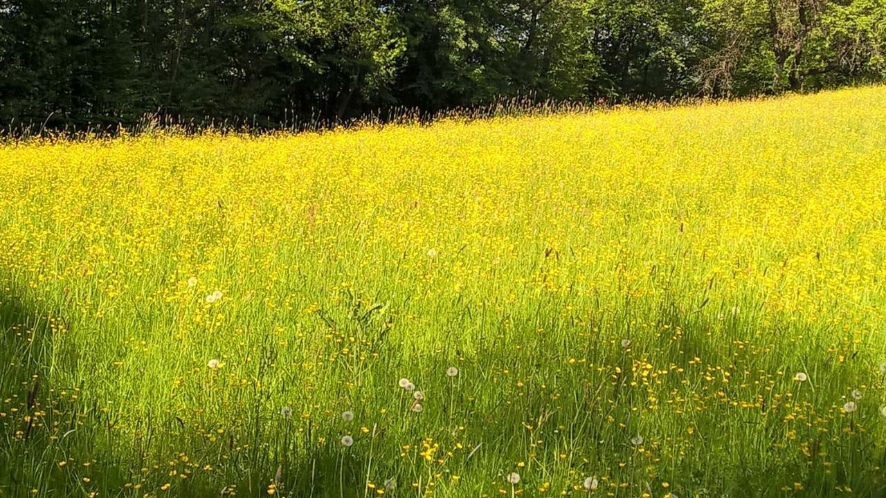 Ferien Vom Ich, Bayerischer Wald, Hotel & Restaurant Neukirchen  Екстериор снимка