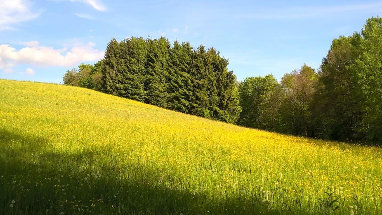 Ferien Vom Ich, Bayerischer Wald, Hotel & Restaurant Neukirchen  Екстериор снимка