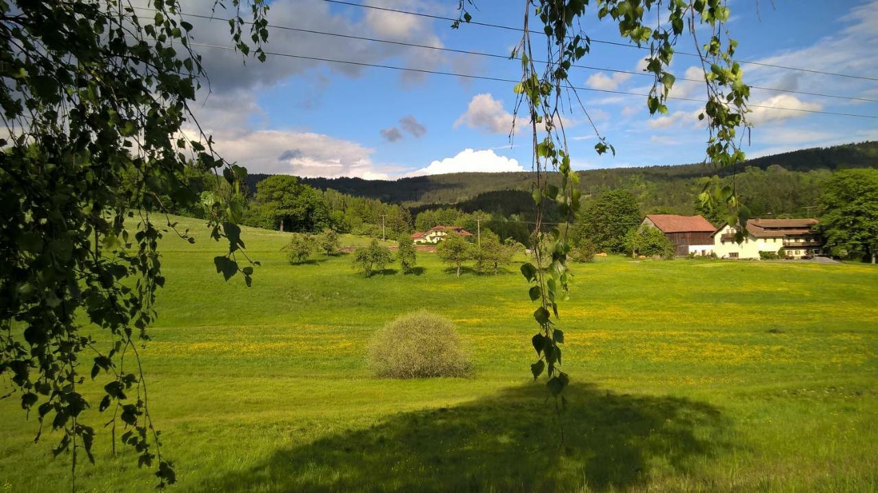 Ferien Vom Ich, Bayerischer Wald, Hotel & Restaurant Neukirchen  Екстериор снимка